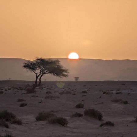 فندق Mhamid Sahara Camp - Mhamid El Ghizlane محاميد الغزلان المظهر الخارجي الصورة