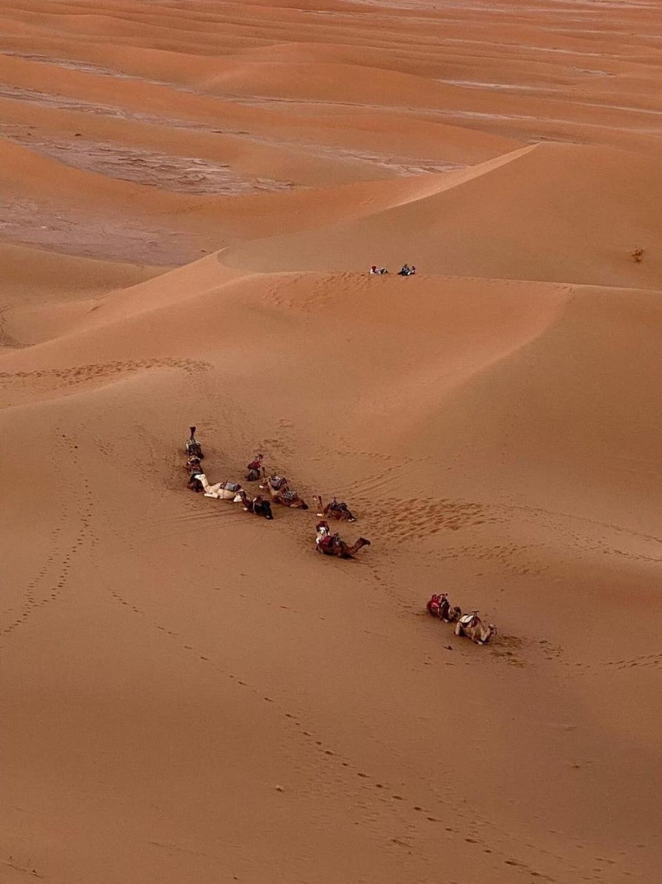 فندق Mhamid Sahara Camp - Mhamid El Ghizlane محاميد الغزلان المظهر الخارجي الصورة
