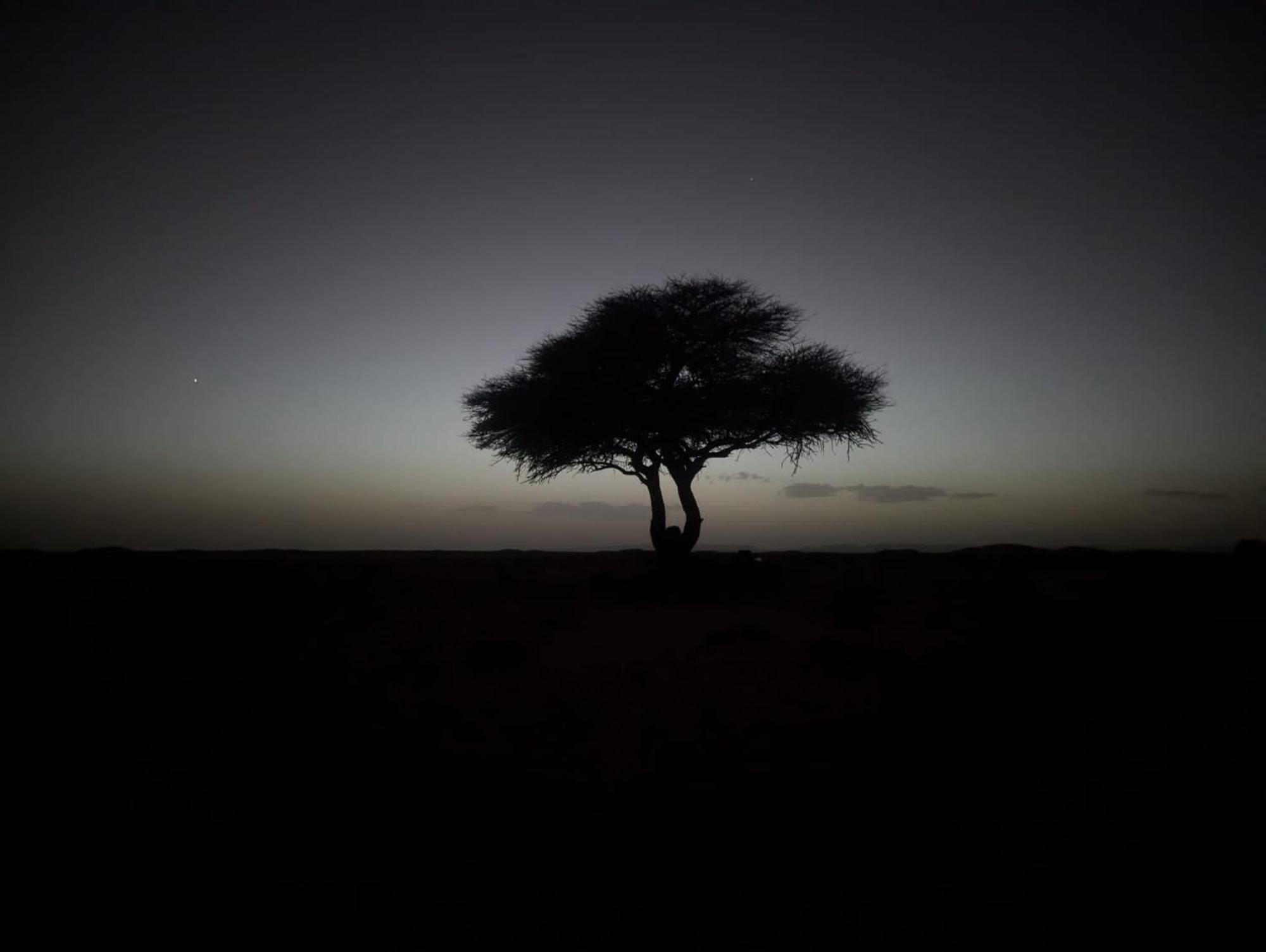 فندق Mhamid Sahara Camp - Mhamid El Ghizlane محاميد الغزلان المظهر الخارجي الصورة